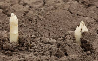 Verduurzamen betekent ook lastige keuzes durven maken