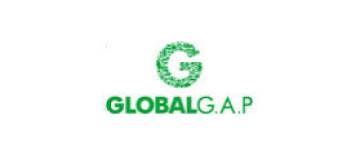 {"id":9,"title":"GLOBALG.A.P.","slug":"globalg-a-p-1","description":"Il GlobalGap rappresenta i requisiti stabiliti a livello mondiale per le aziende che operano nel campo dell\u2019agricoltura e dell\u2019orticoltura relativamente alla sicurezza alimentare, alla sostenibilit\u00e0 e alla qualit\u00e0. Nel 1997, al fine di soddisfare le richieste e le esigenze dei consumatori per una maggiore sicurezza alimentare dei prodotti agricoli e orticoli, 26 organizzazioni di supermercati europei hanno avviato l\u2019allineamento dei termini nei confronti dei fornitori di prodotti freschi. A tal fine \u00e8 stato redatto il cosiddetto protocollo GlobalGap. Questo protocollo crea il contesto per una Buona Pratica Articola (GAP - Good Agricultural Practice) a livello aziendale. Determina gli standard minimi ai quali si dovrebbe attenere la produzione per poter essere accettata dai grandi magazzini.","img_id":10,"file_id":185,"created_at":"2018-10-08 09:03:08","updated_at":"2018-10-08 09:03:08","deleted_at":null,"locale_iso":"it"}